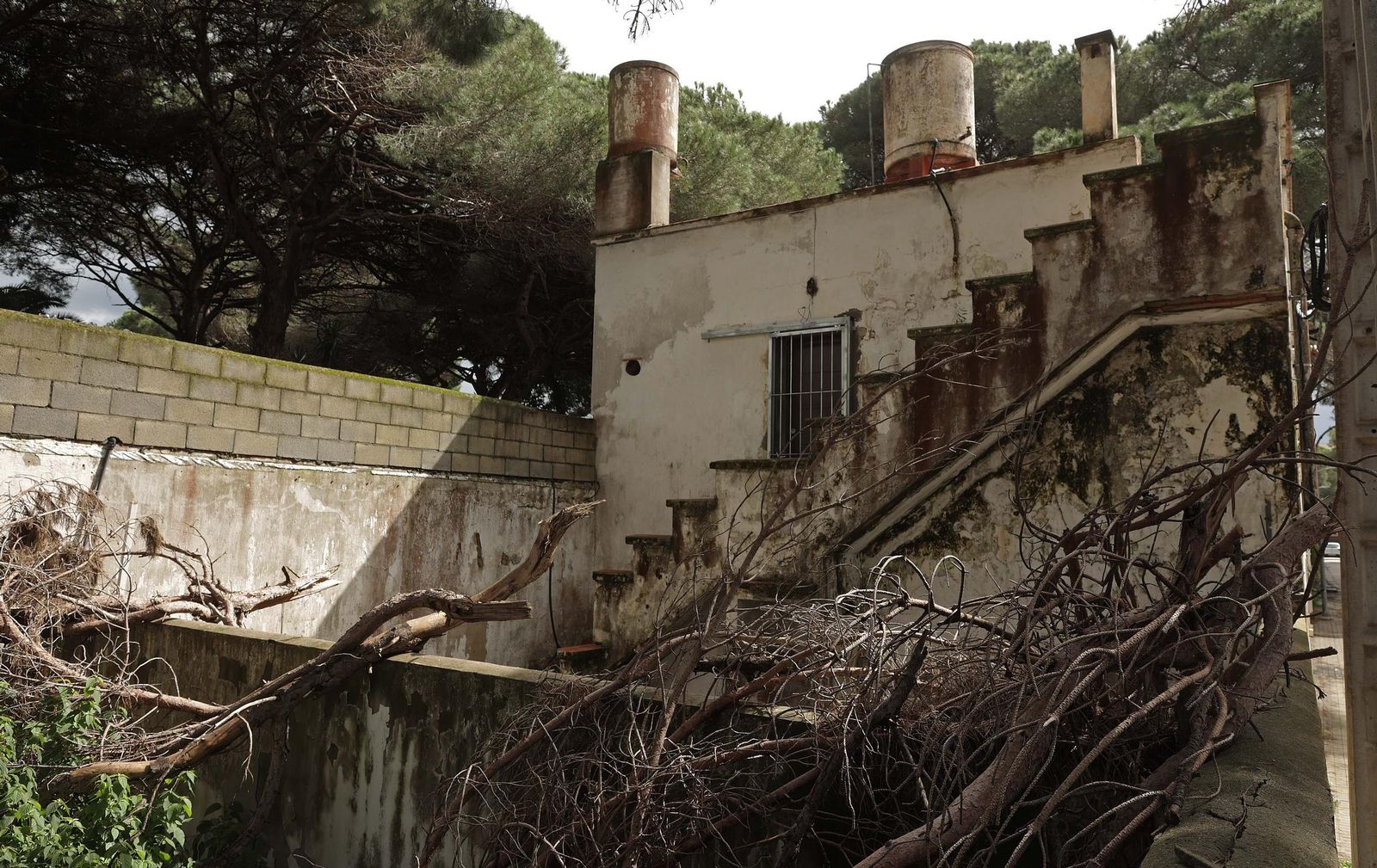 Fotos de los desperfectos e irregularidades en La Menacha