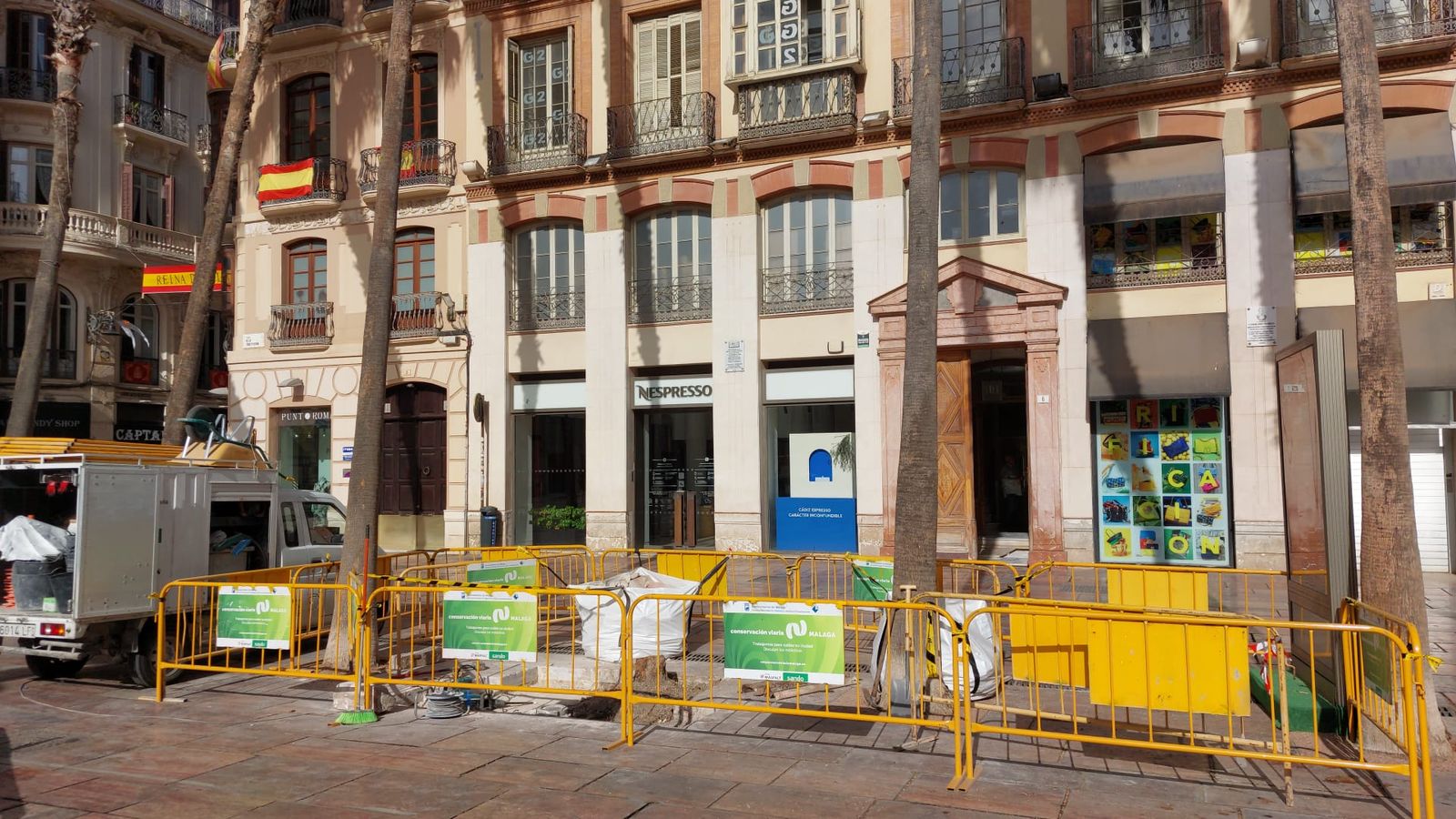 El tronco cortado de la palmera de la plaza de la Constitución.
