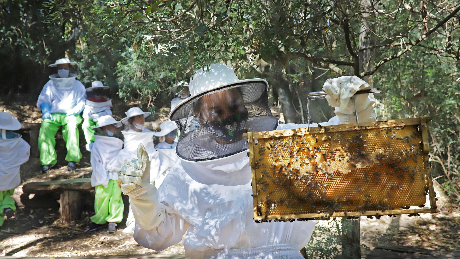 Jerez celebra el Día Mundial de las Abejas Jerez celebra el Día Mundial de las Abejas