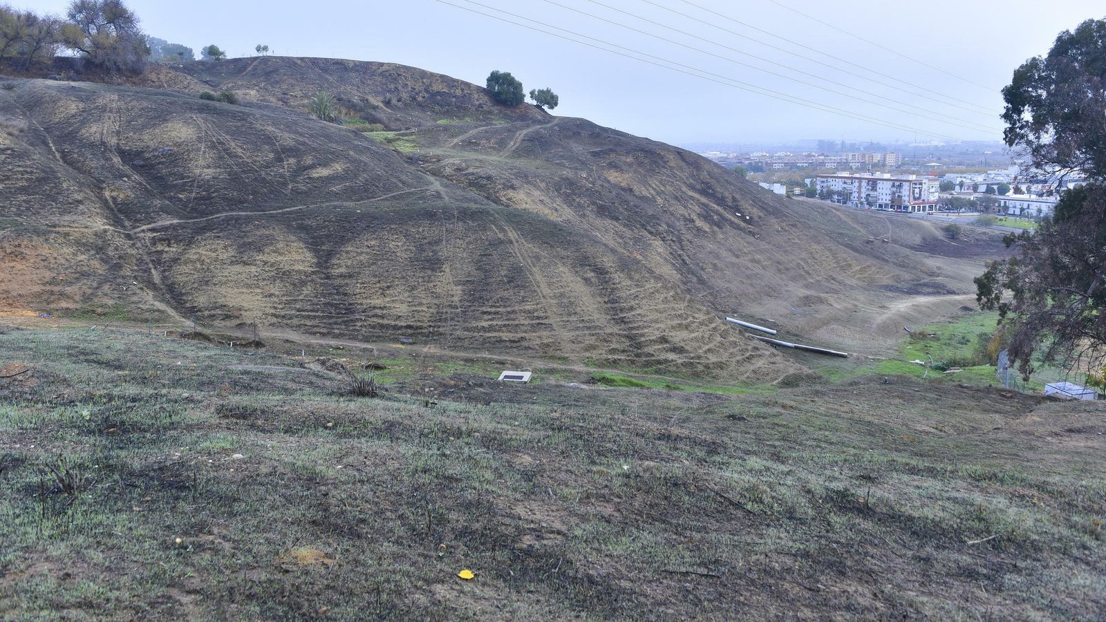 Zona del barranco de la Trocha