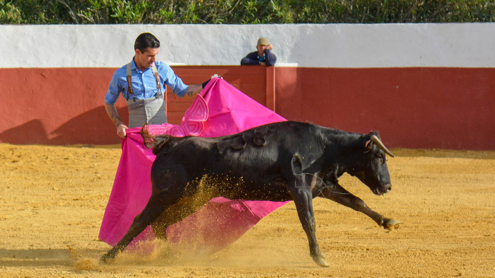 Tentadero con Talavante en la finca La Palmosilla
