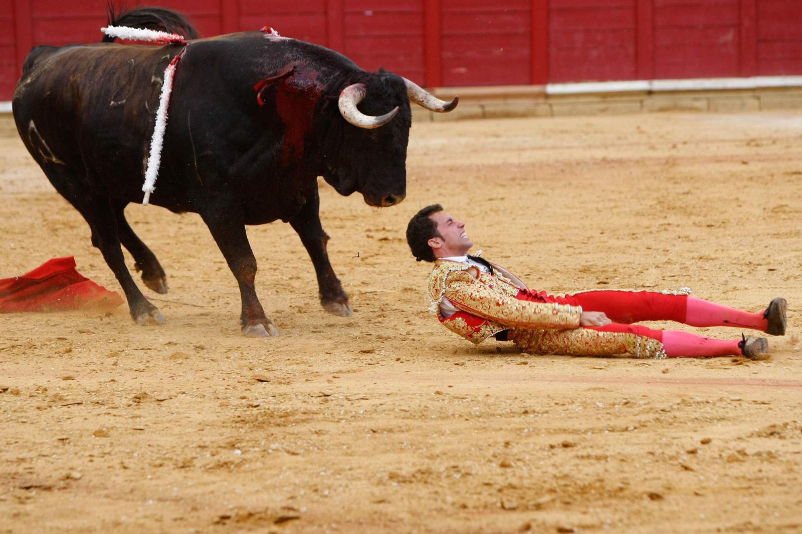 Imagen de la caída del diestro de Trigueros en Toro (Zamora).