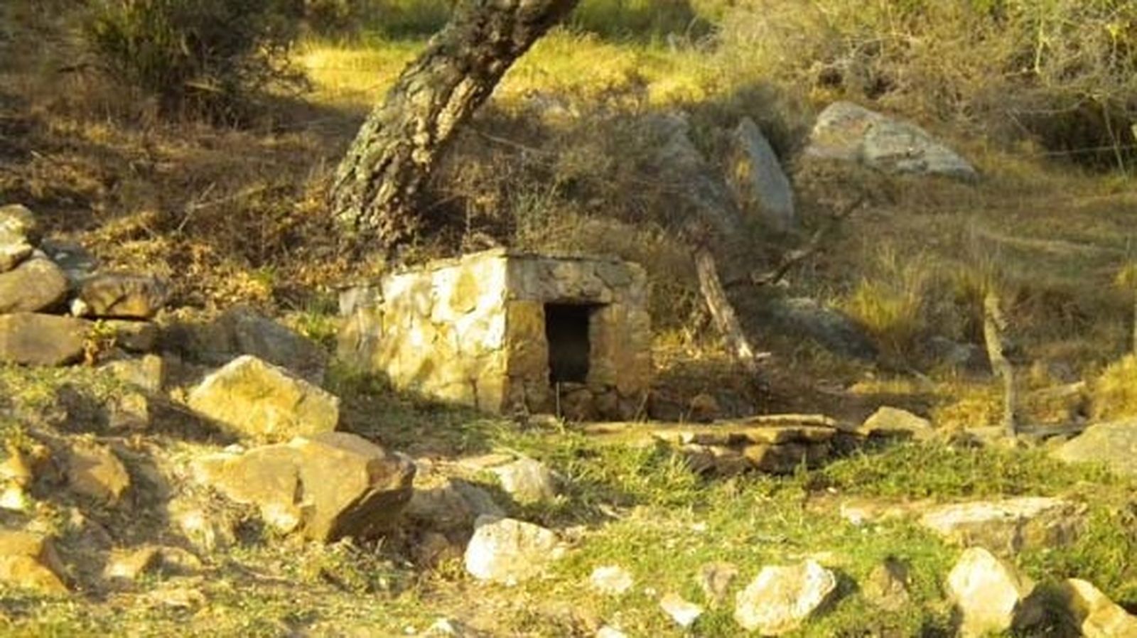 Fuente de Casa Grande de Murta