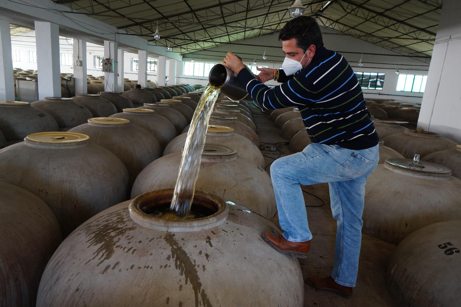 Un recorrido en fotografías por el vino nuevo de Moriles