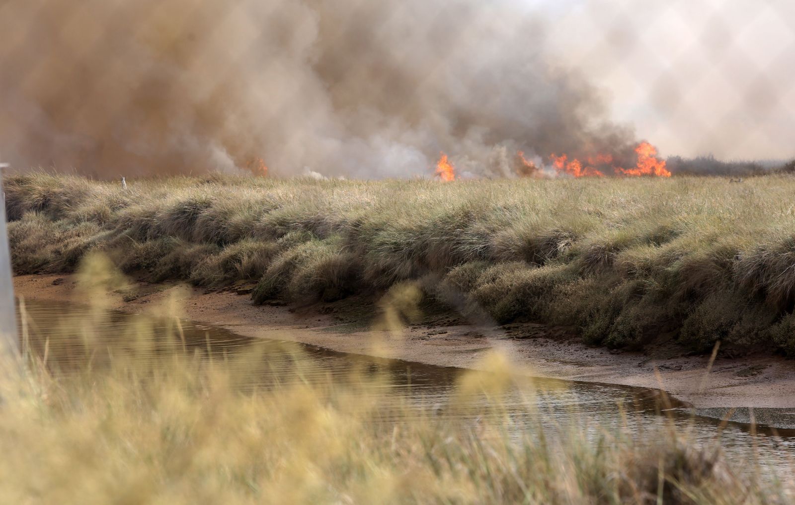 Imágenes del incendio declarado en marismas del Odiel