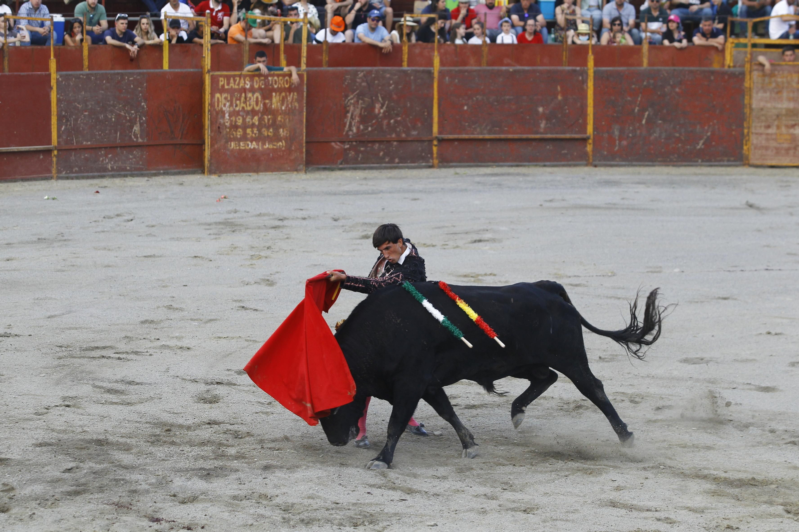 Imágenes de la corrida de toros en las Fiestas de Abrucena.