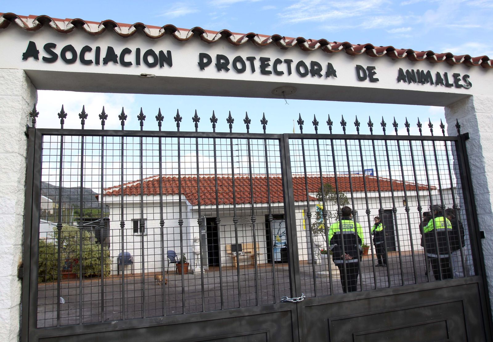 Instalaciones de la prerrera de Torremolinos.