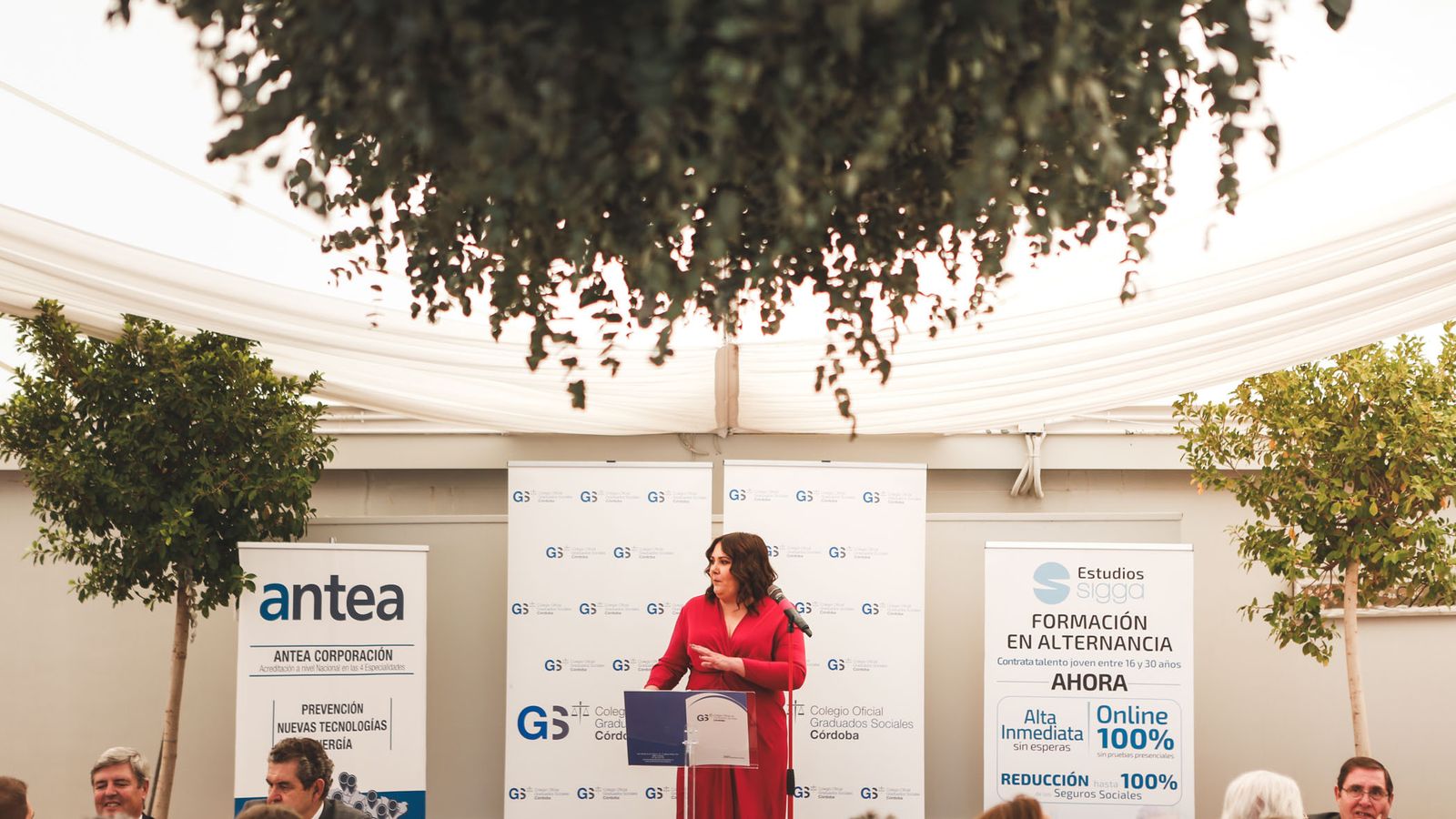 La presidenta del Colegio Oficial de Graduados Sociales de Córdoba, Carmen María Castro Coto, se dirige a los asistentes de la ceremonia de los actos patronales de San José Artesano