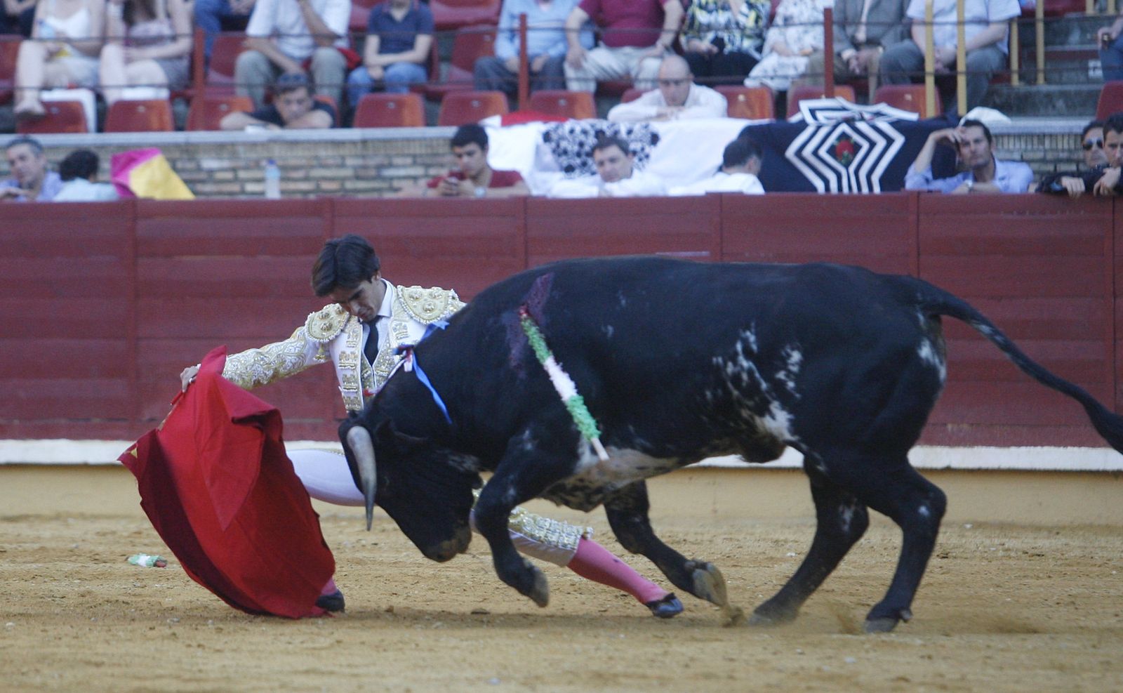Imagen de archivo de una novillada sin picadores en Los Califas.