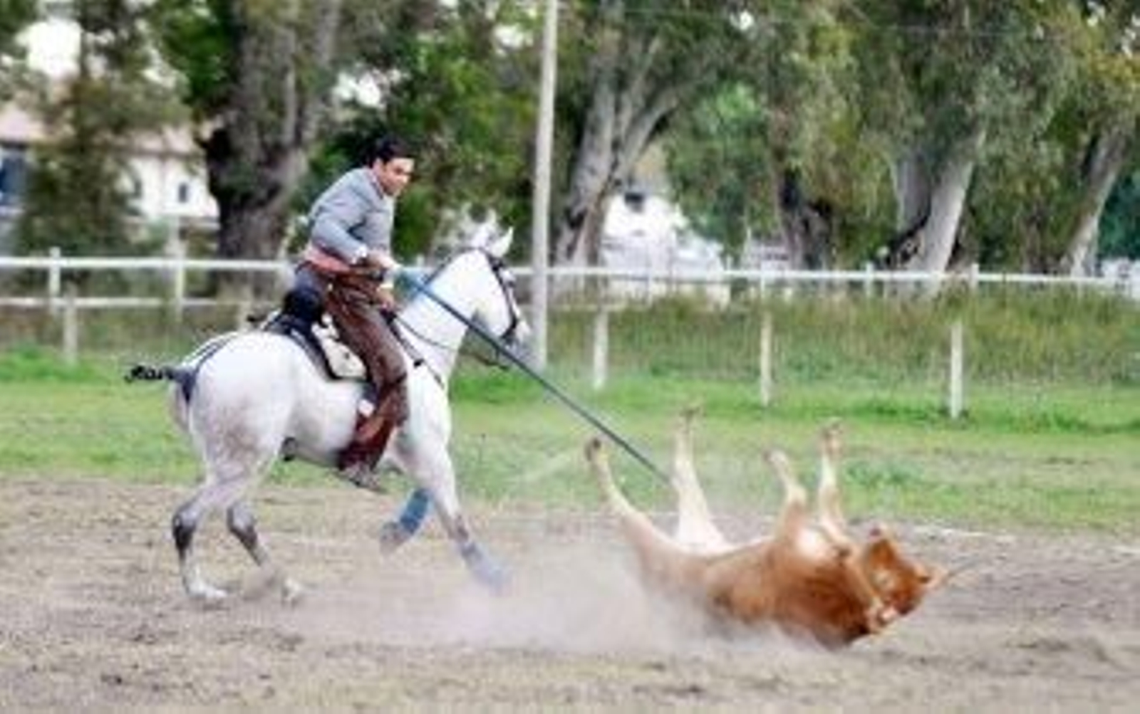 De Salamanca a Jerez a galope tendido