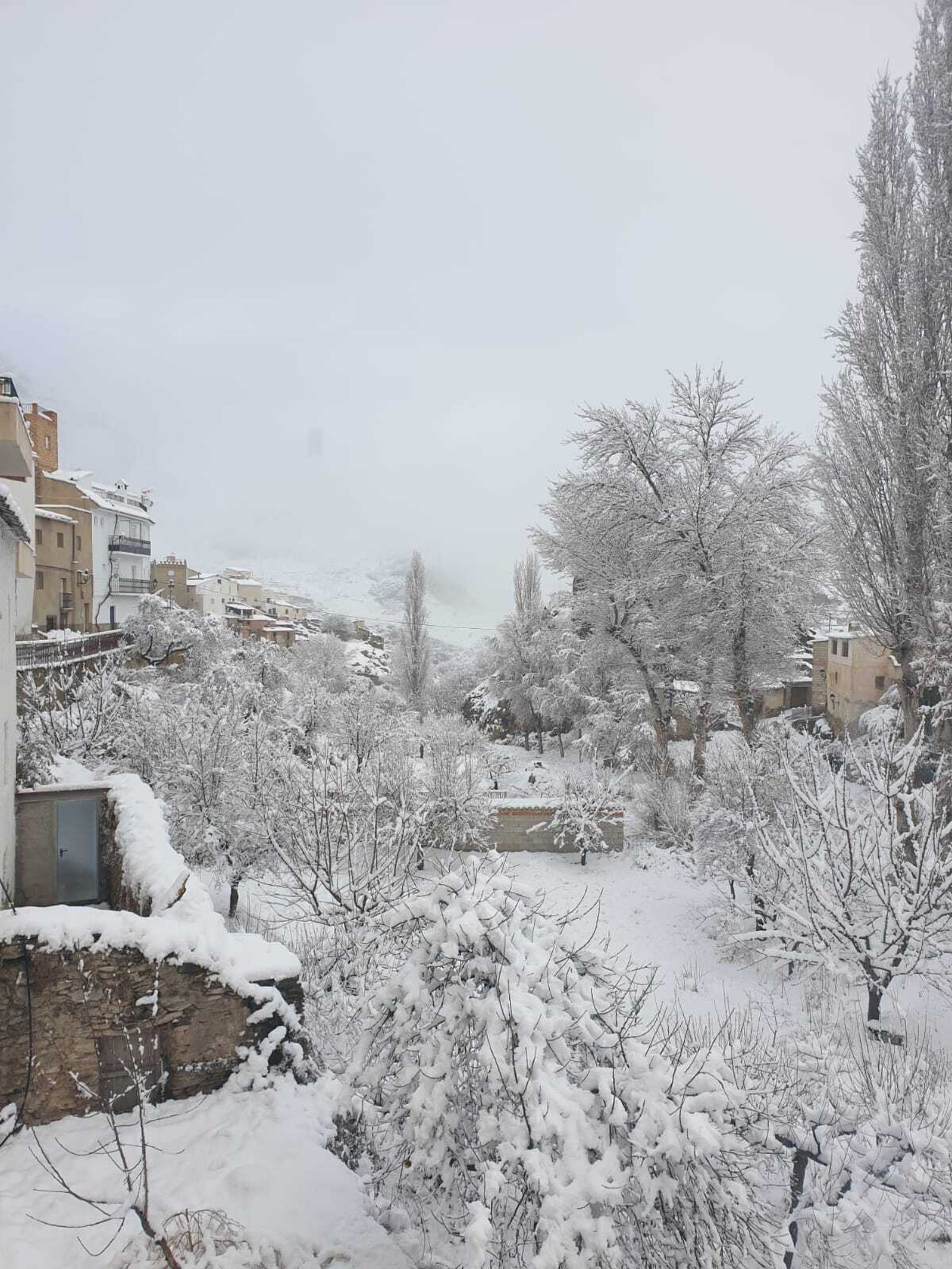 Primera gran nevada en Almería