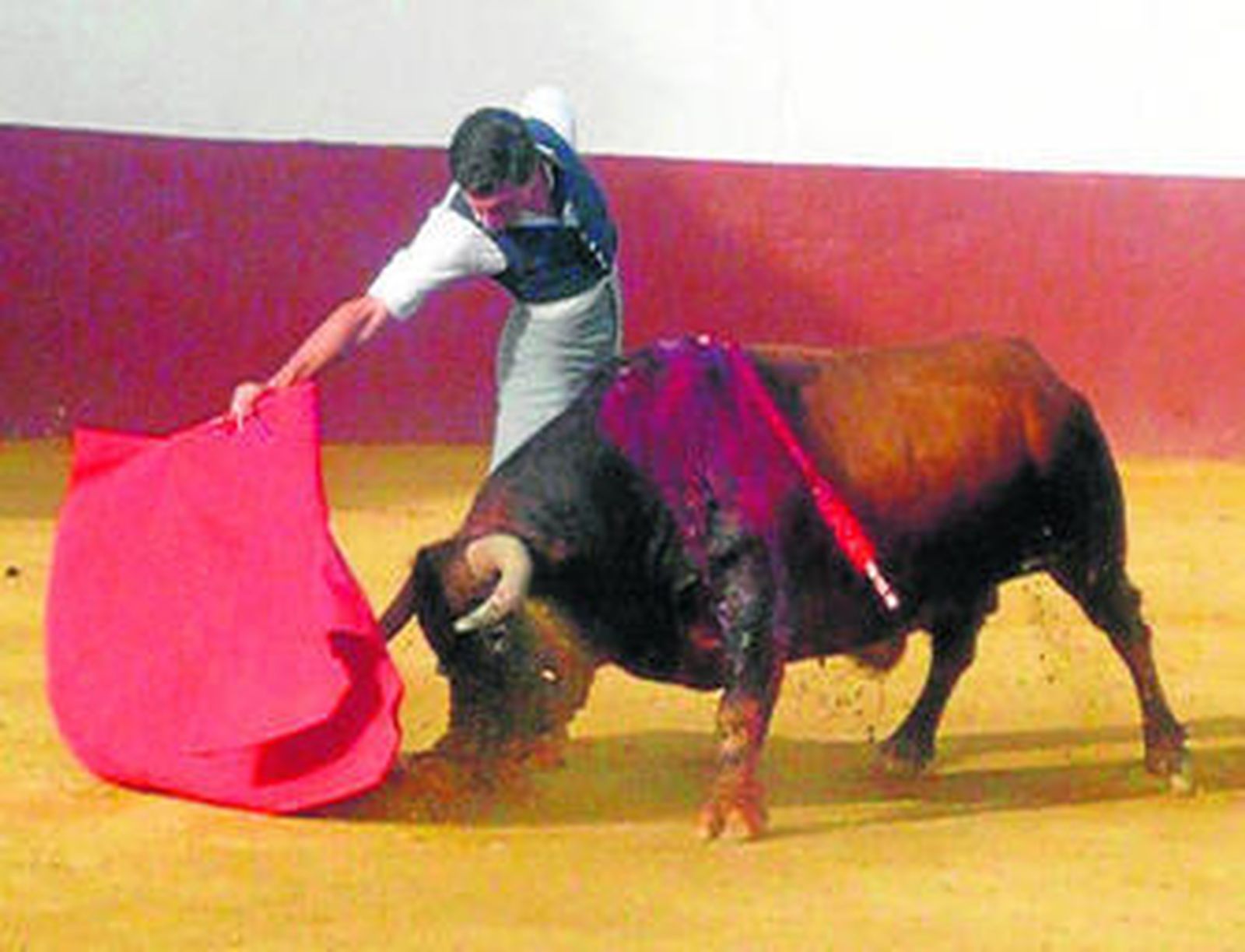 Octavio Chacón, en un entrenamiento campero, con un toro a puerta cerrada.