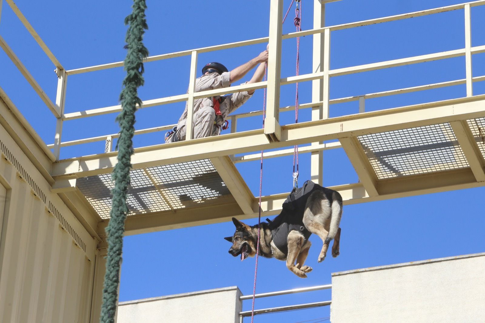 Ejercicio de Adiestramiento 2021 de Unidades Caninas en el TEAR.