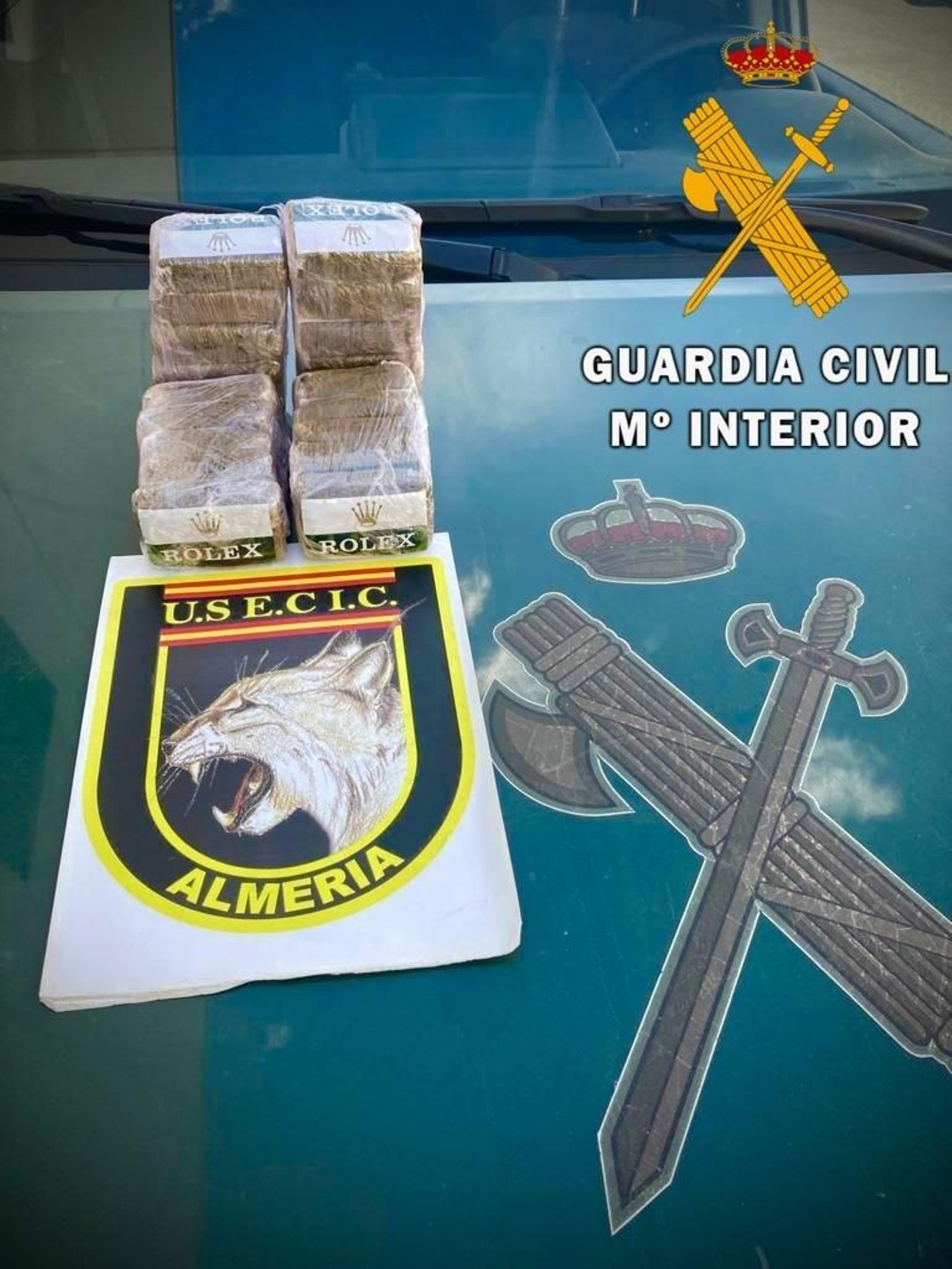 Hachís localizado en la bolsa que arrojó el acusado.