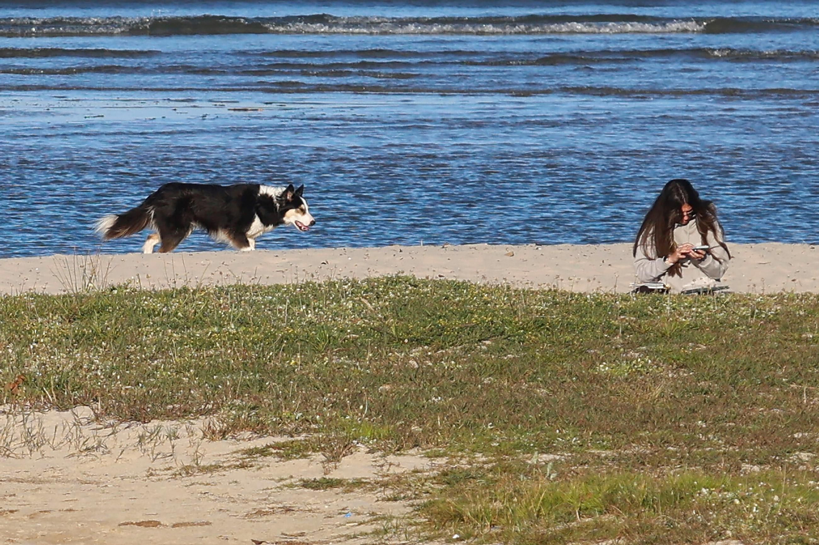 Playa para perros en Algeciras.