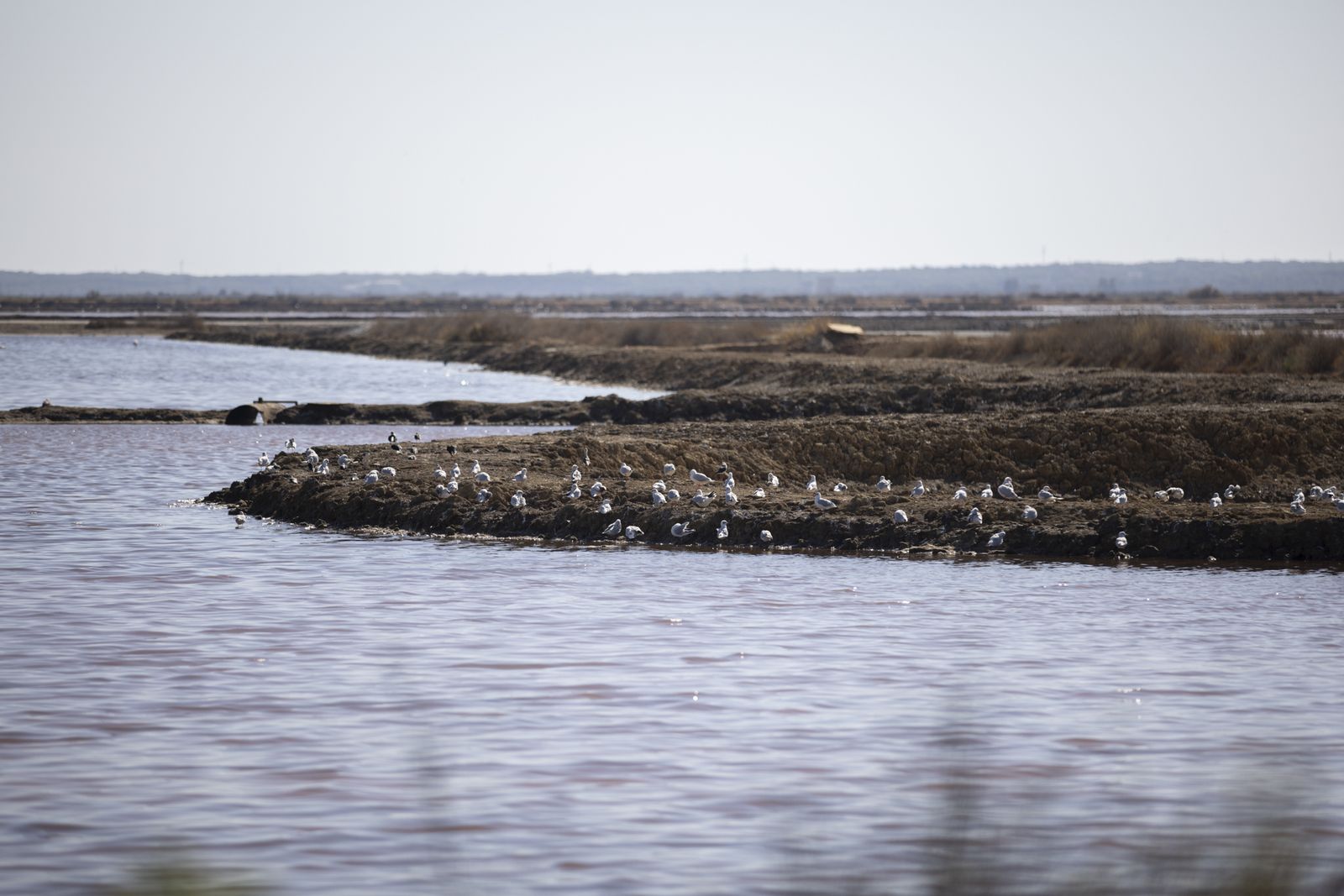 Imágenes del viernes 19 de agosto en Huelva