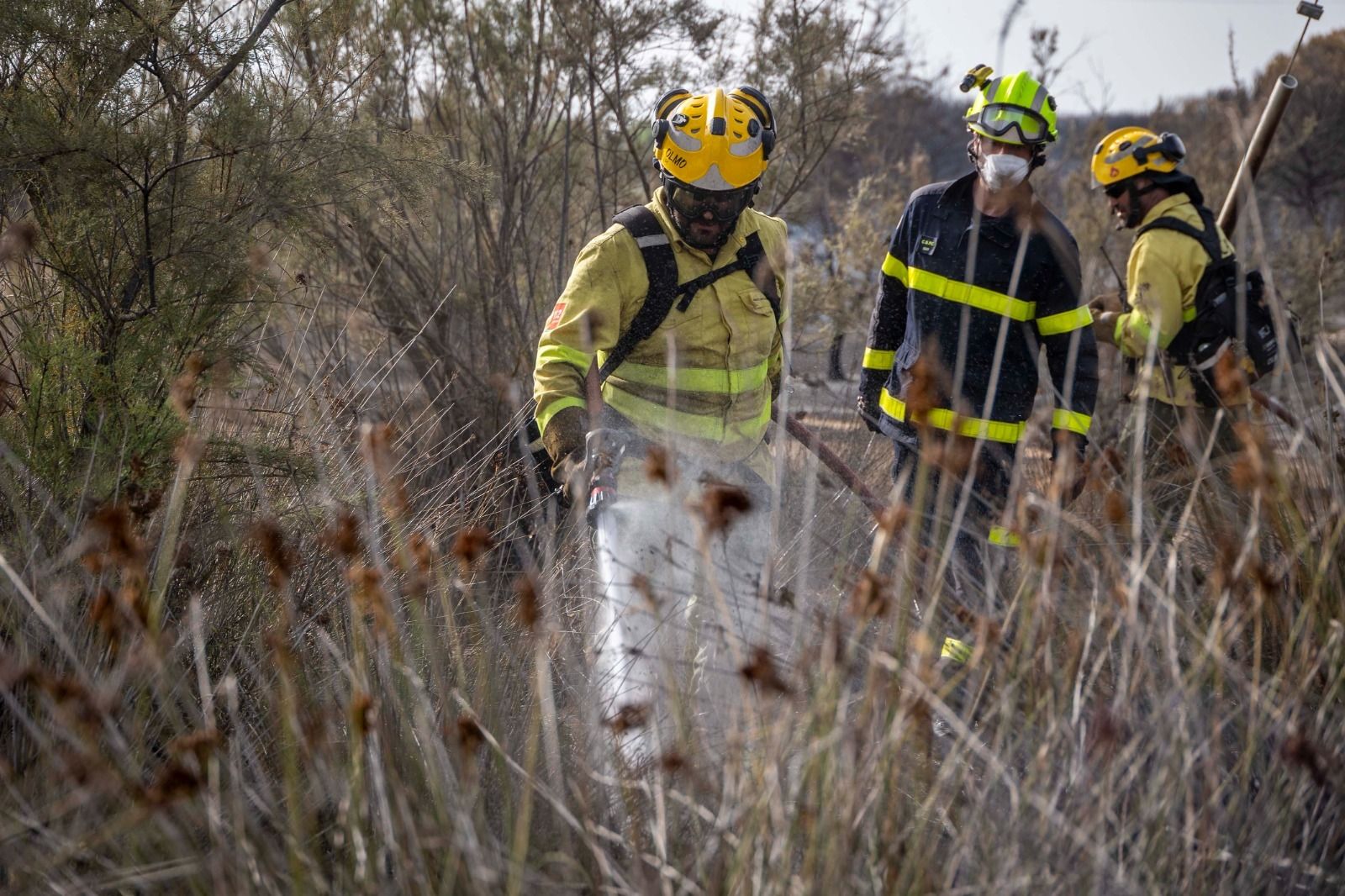 Imágenes del incendio en el Tiro Pichón