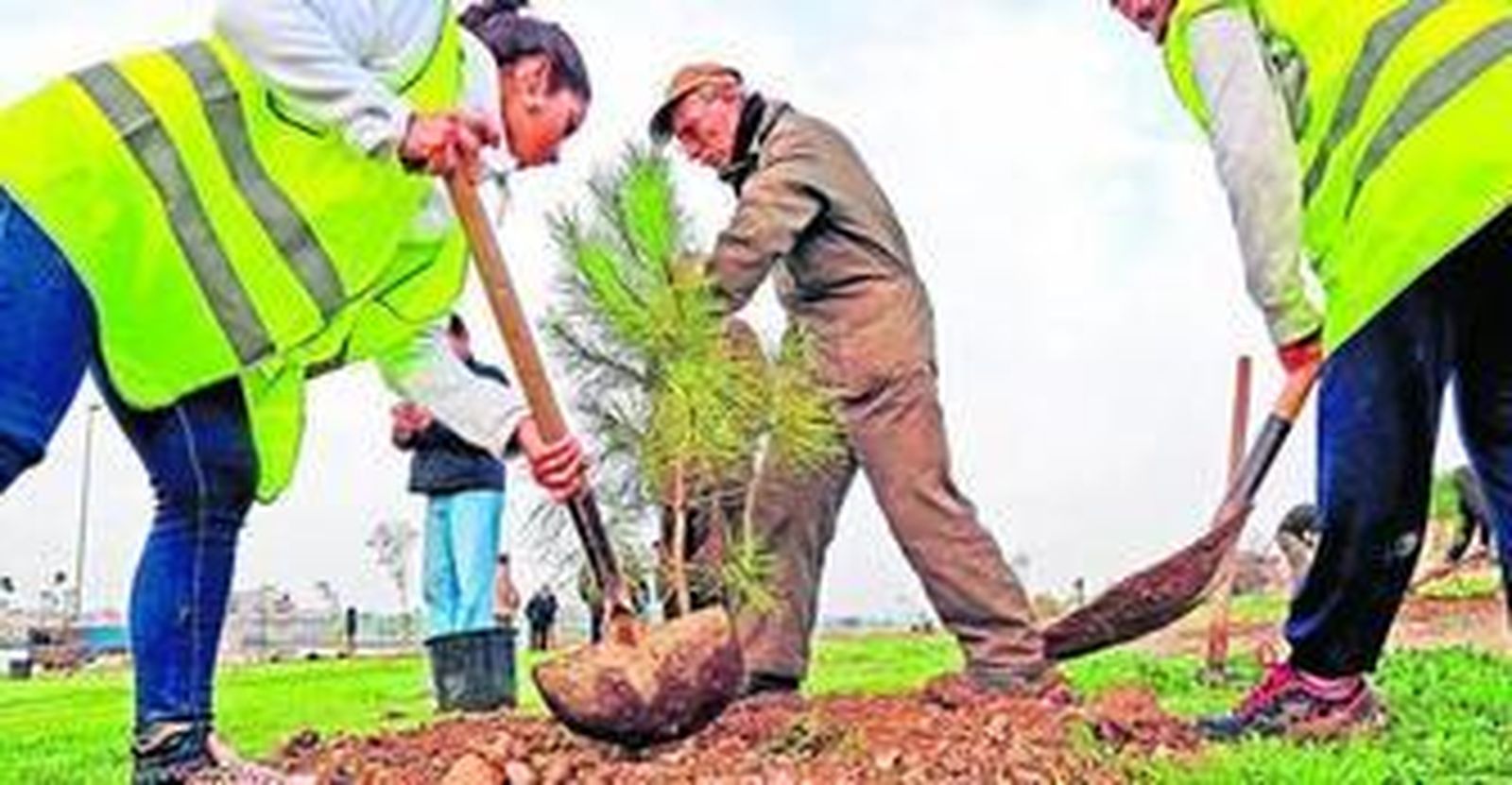 Trabajos de plantación de nuevos árboles, ayer en la Laguna de Torrox.