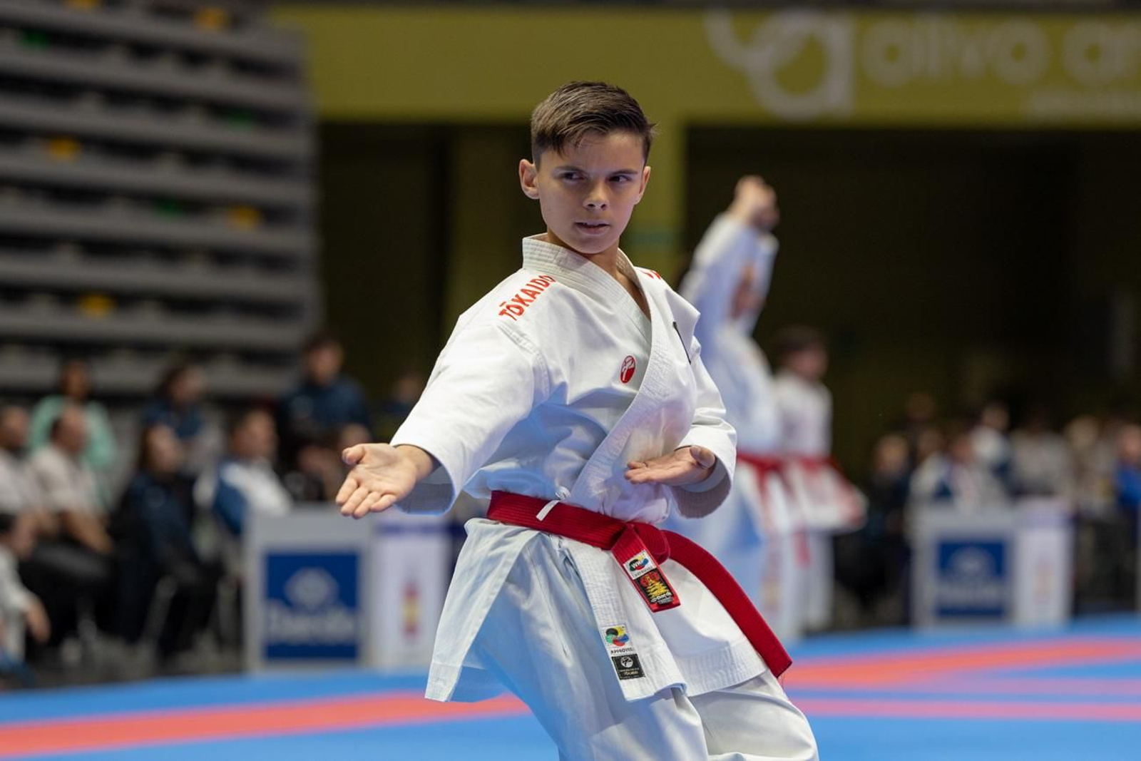 Campeonato de España de Kárate cadete, júnior y sub 21 brilla en Jaén
