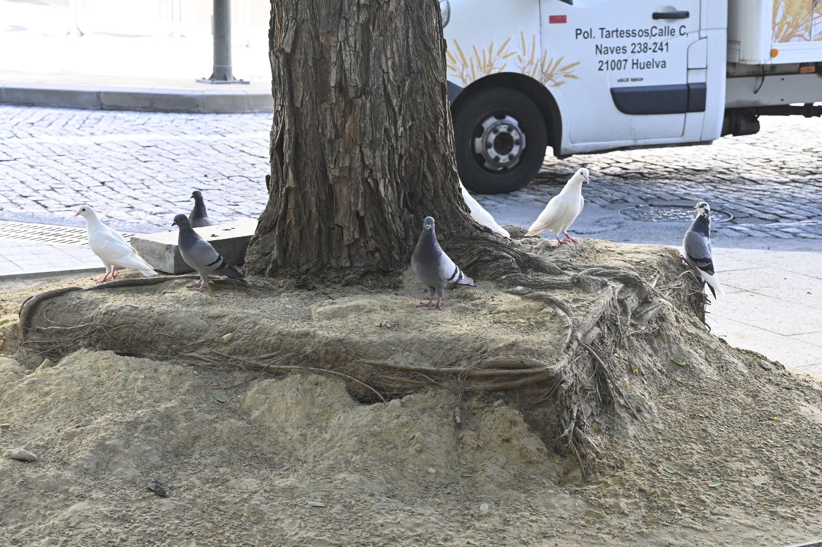 Las imágenes más destacadas del miércoles 27 de septiembre en Huelva