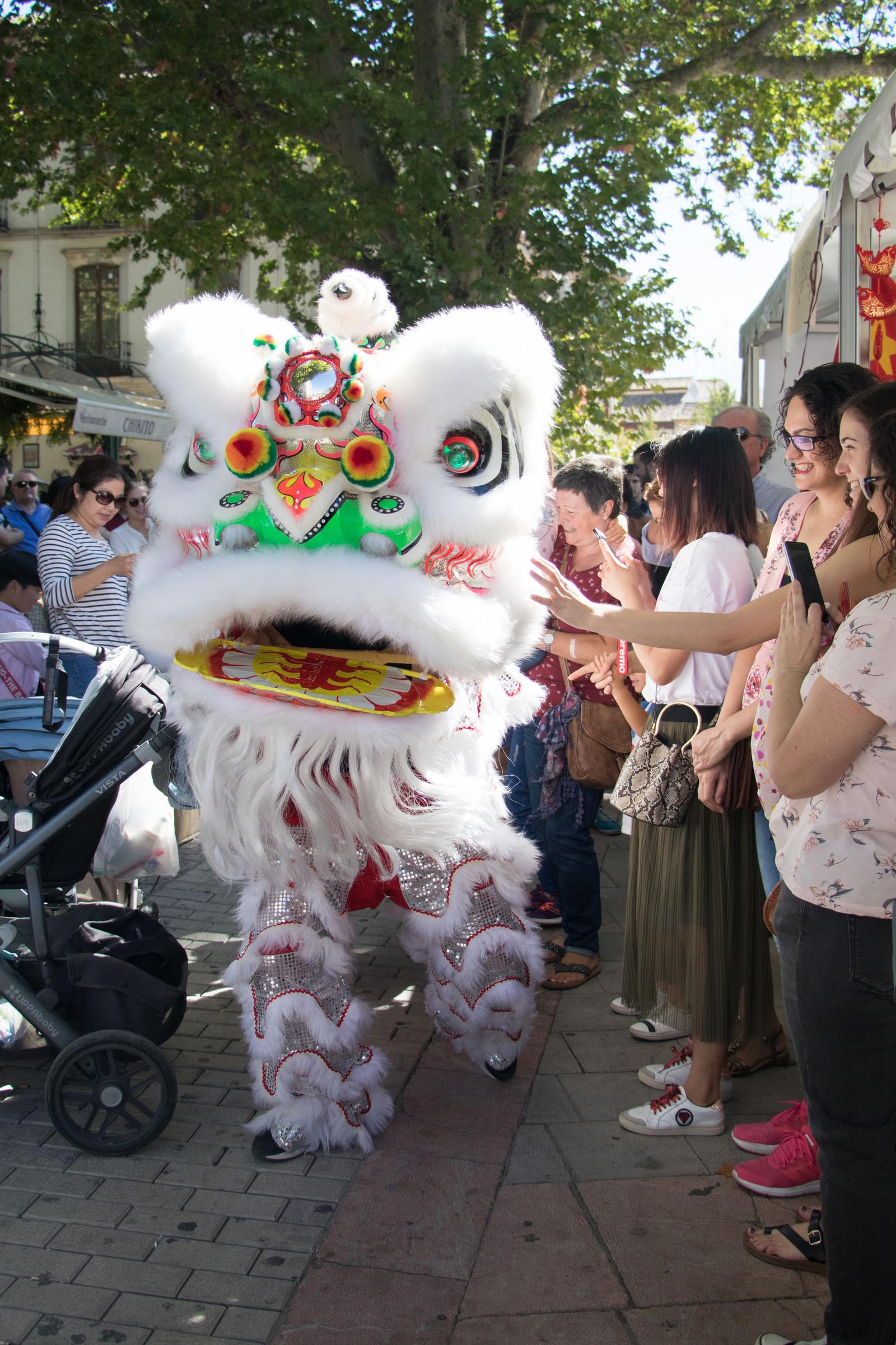 El león chino hace su ritual en el centro