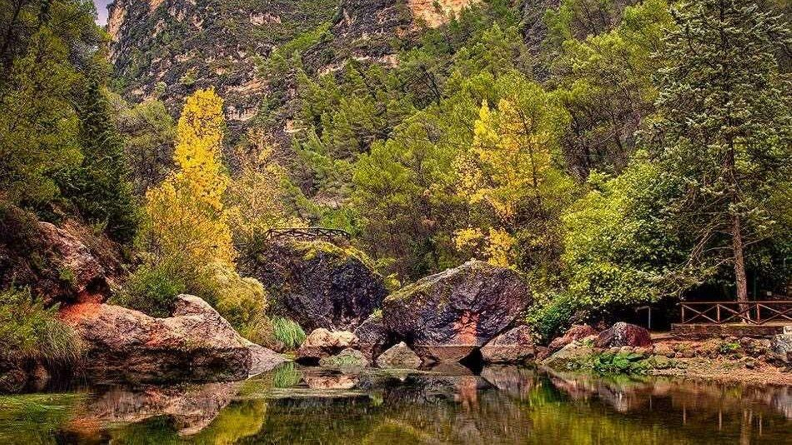 El 24 de mayo las actividades se celebrarán en el mítico Charco del Aceite o Charco de la Pringue. El 24 de mayo las actividades se celebrarán en el mítico Charco del Aceite o Charco de la Pringue.