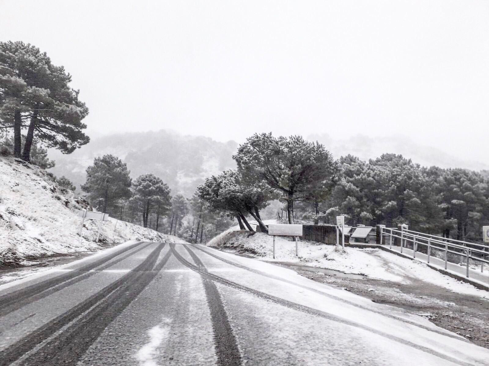 Imagen tomada esta mañana de la nevada caída en la sierra