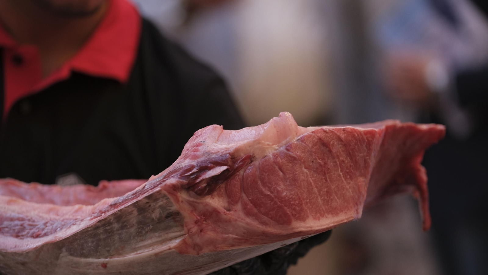 El ronqueo del atún de Almadraba en el Espacio Gastronómico Tony García, en imágenes