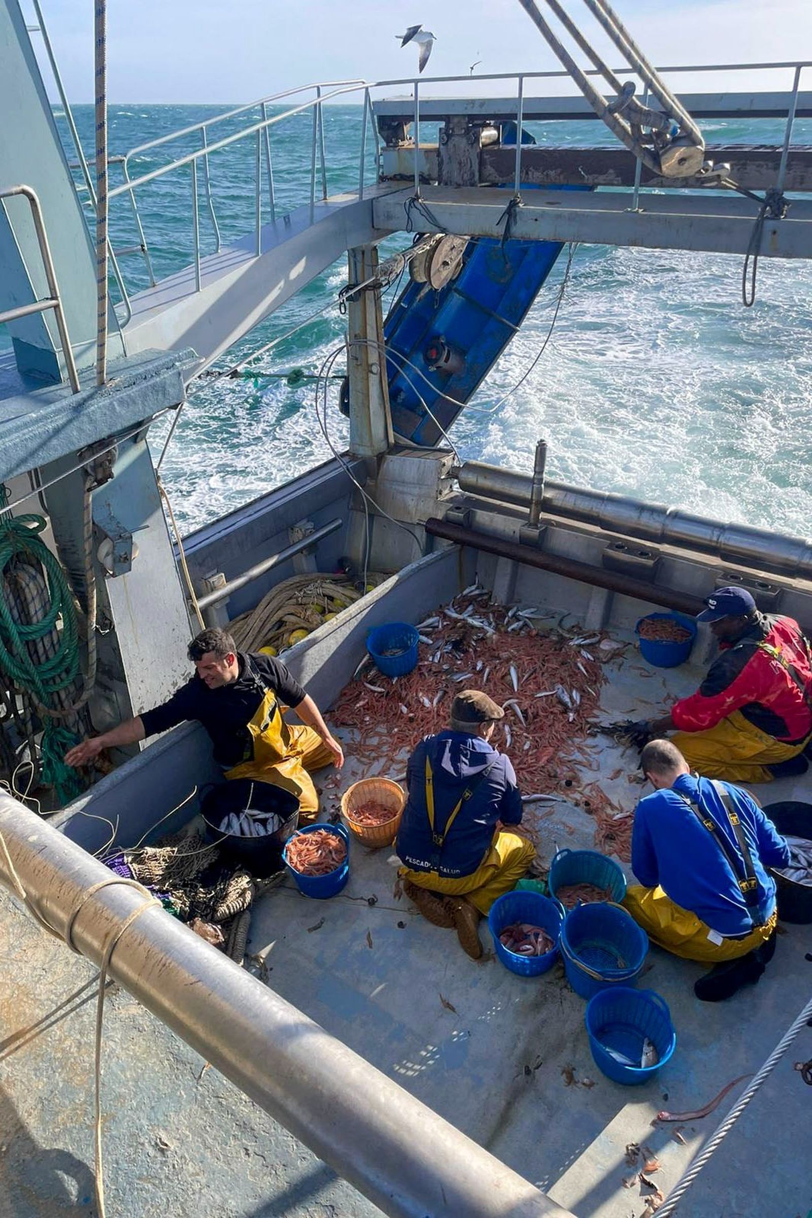 Los marineros, recogen lo pescado.