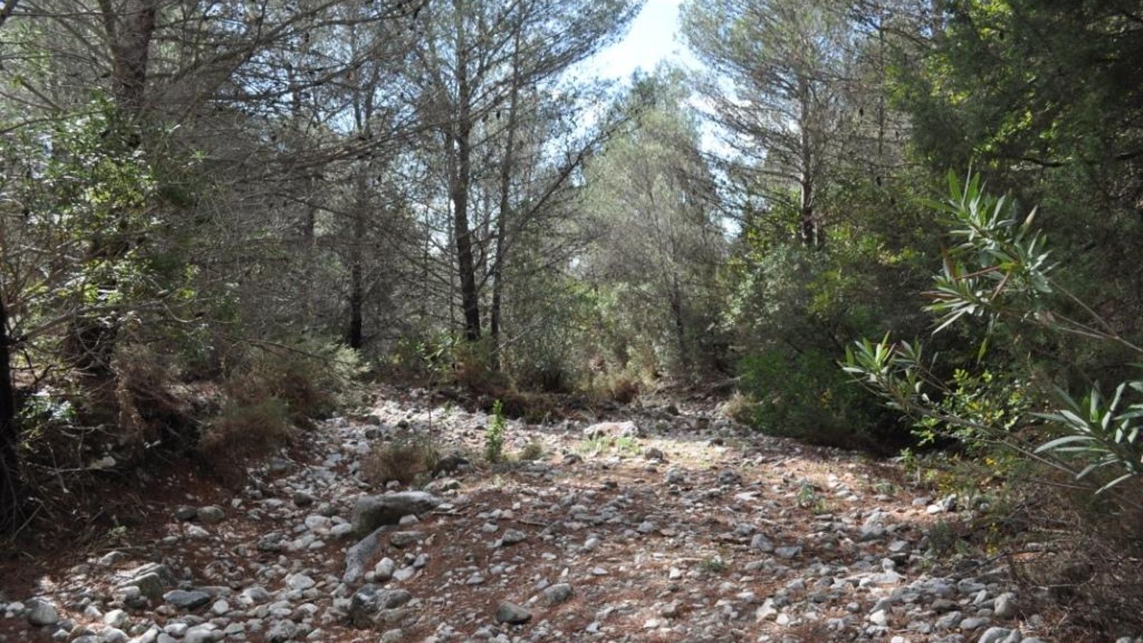 El arroyo de las Piedras nos espera en uno de los descensos de la ruta. El arroyo de las Piedras nos espera en uno de los descensos de la ruta.