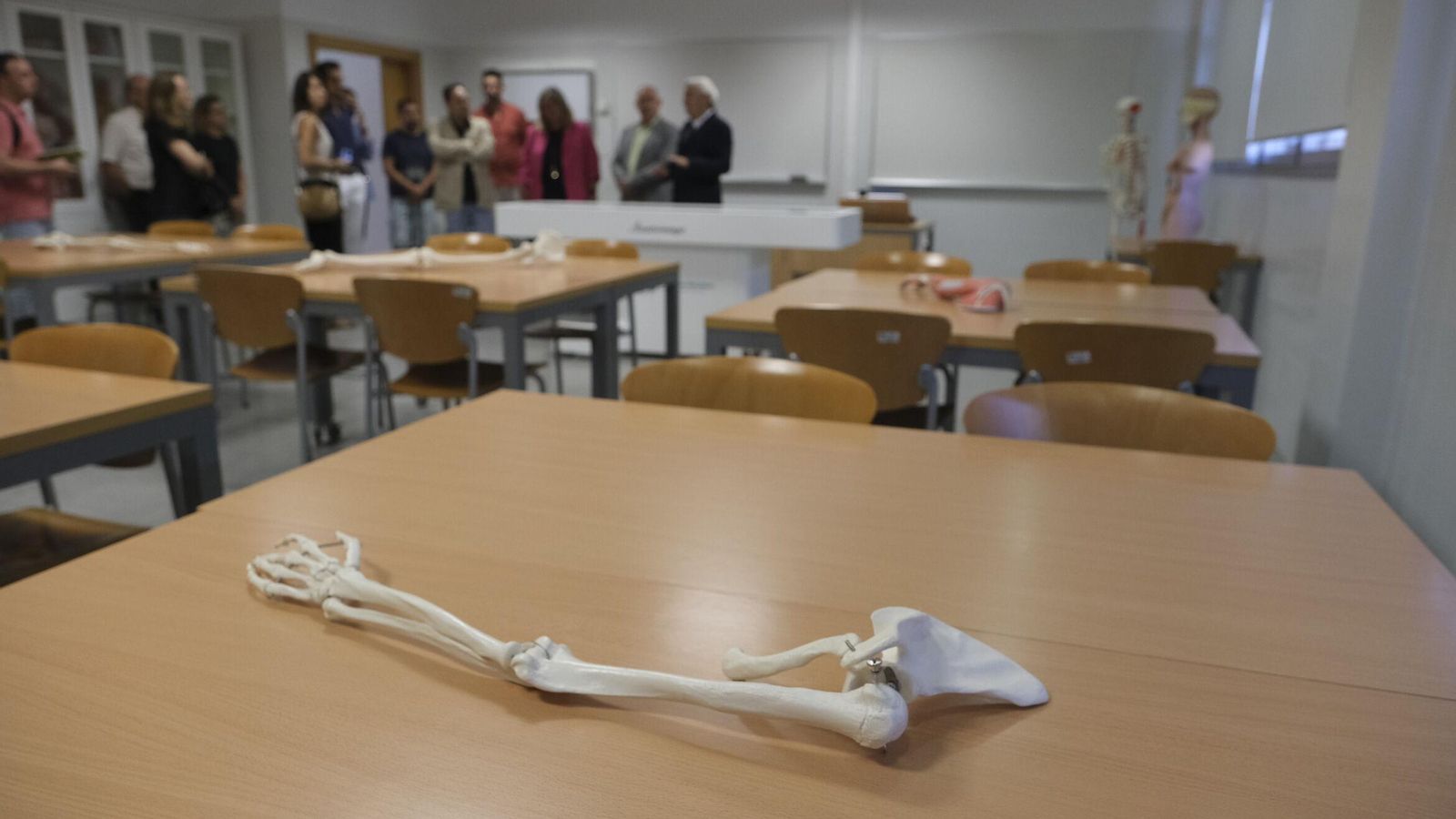 Medicina y Enfermería son los grados que requieren una nota más alta