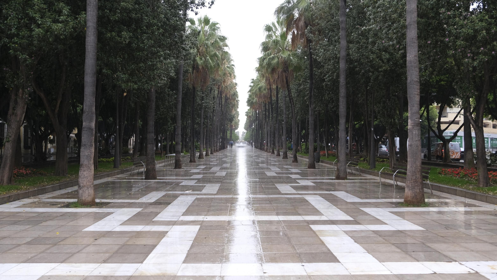 Los almerienses expresan su alegría por la lluvia