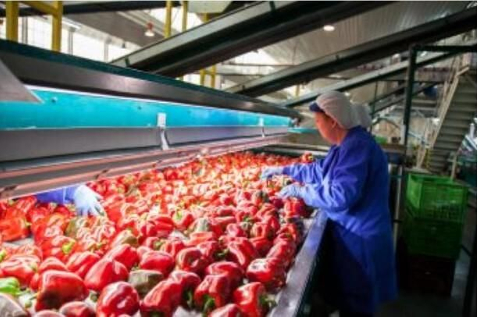 Las exportaciones de productos agroalimentarios andaluces mantienen un crecimiento sostenido.