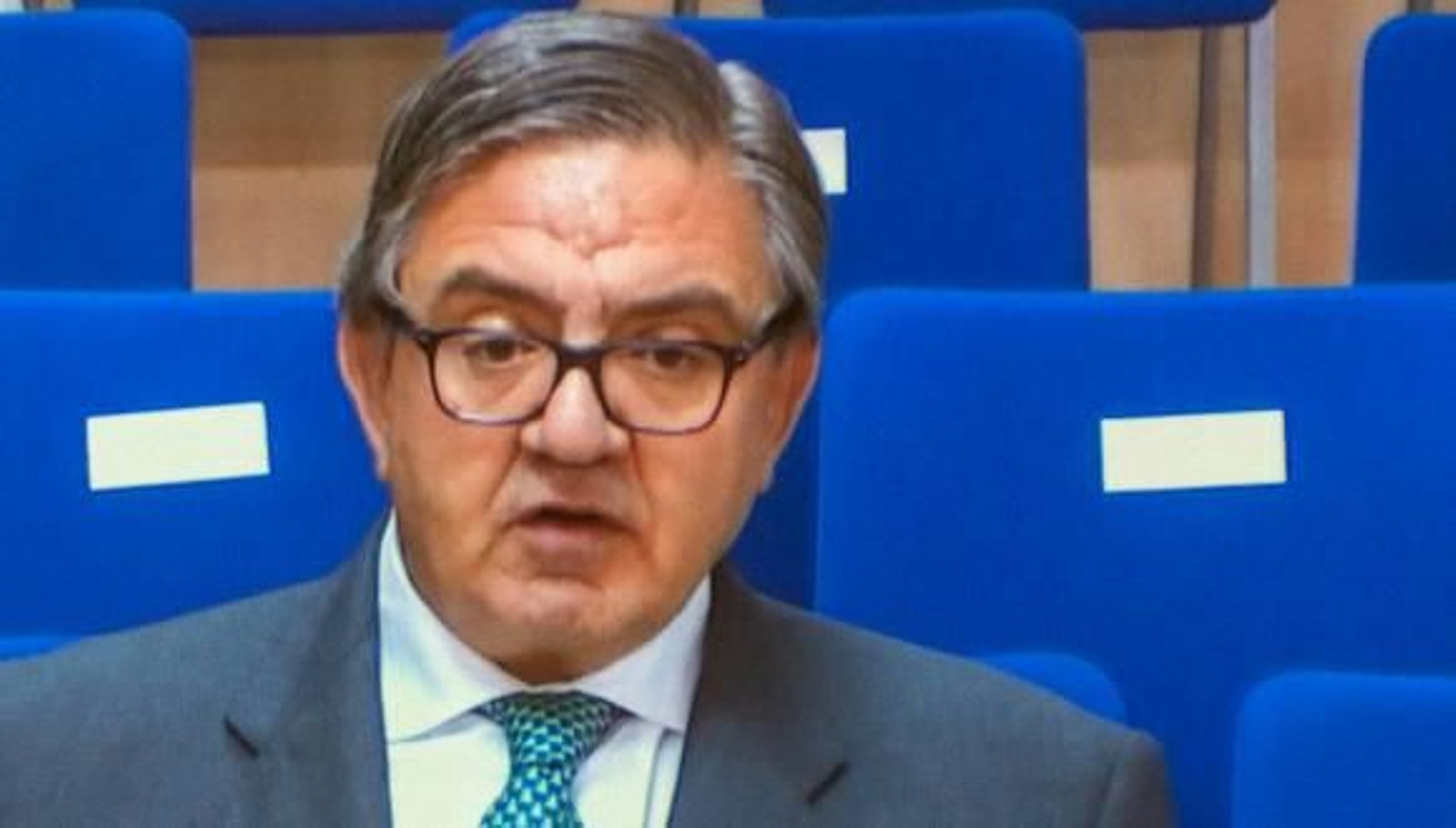 García Revenga aceptó ser tesorero de Nóos "para que no se pusiera doña Cristina"