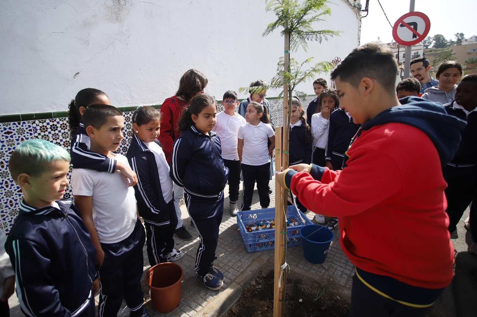 Imágenes la plantación de árboles en la Barriada de la Navidad por alumnos del Colegio Virgen de Belén