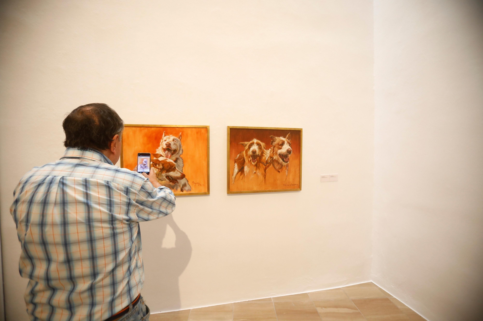 La exposición 'Mariano Aguayo 1961-2023' en la sala Vimcorsa de Córdoba, en imágenes