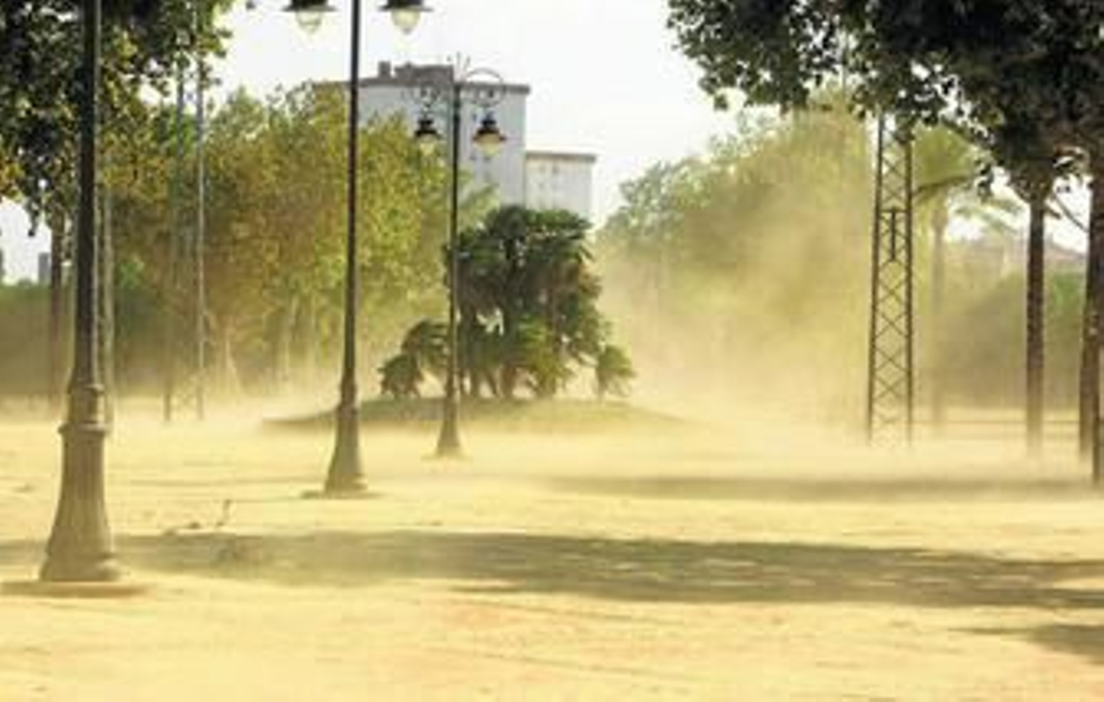 El viento levanta el albero de un descuidado parque González Hontoria, en una imagen de principios de semana.