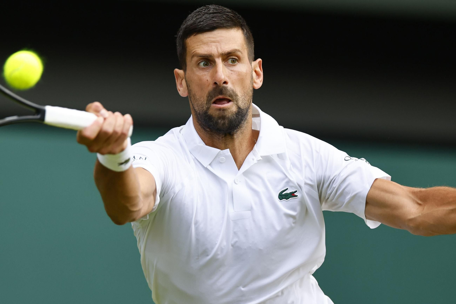 Las fotos de Wimbledon con las clasificaciones de Djokovic y Sinner