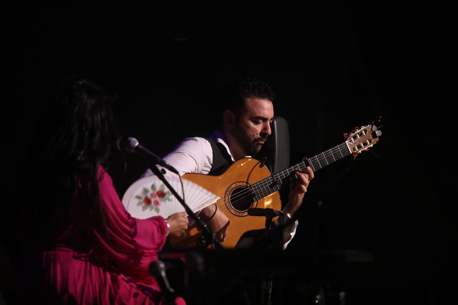 La noche flamenca en el Parque de San Fernando, en imágenes