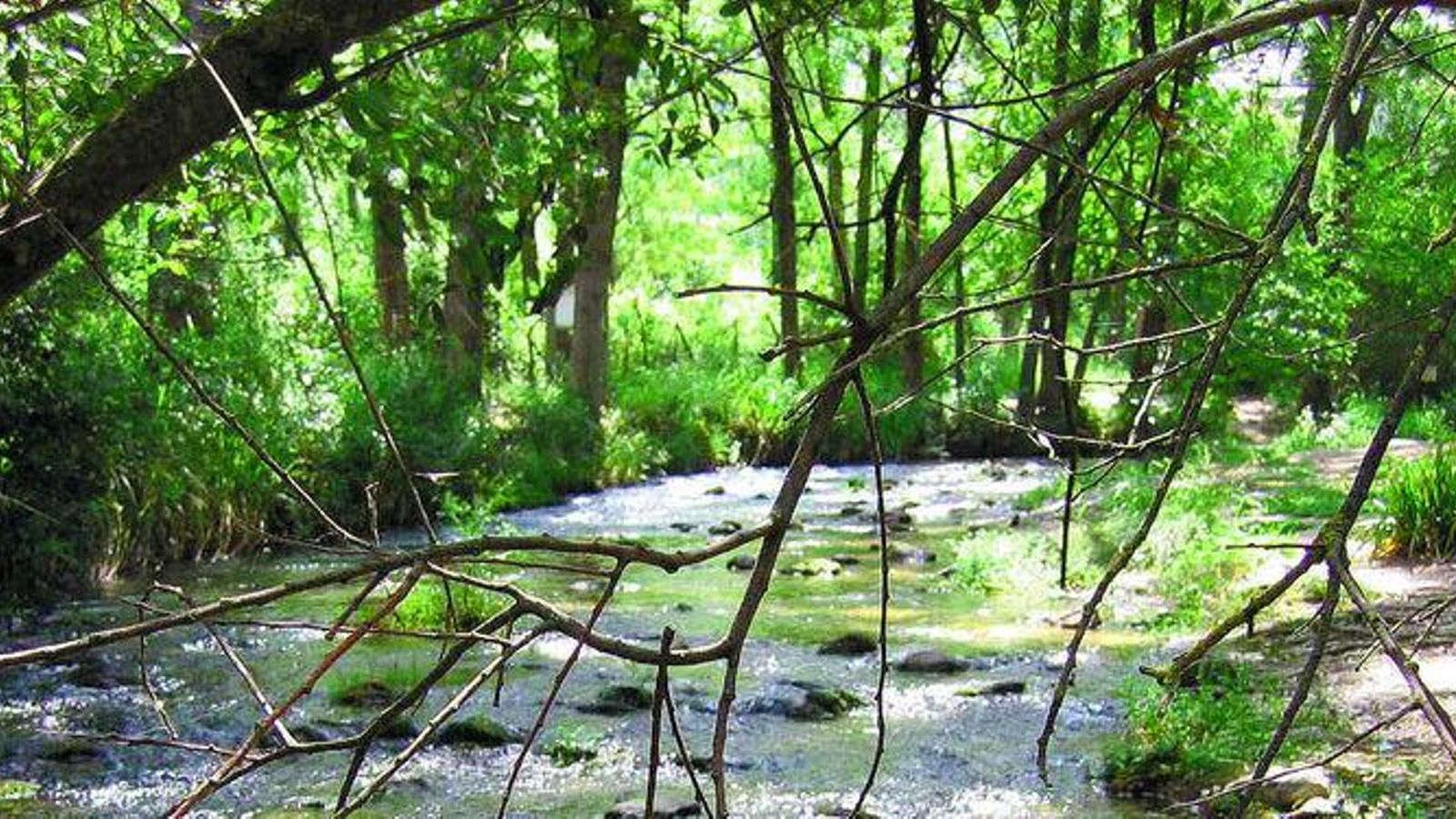 Ruta del Río Majaceite.