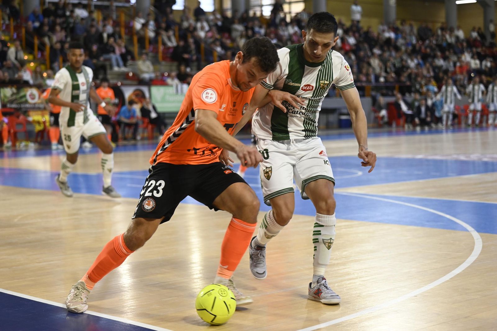 Las mejores fotos del ambiente en Vista Alegre para el Córdoba Futsal - Ribera Navarra