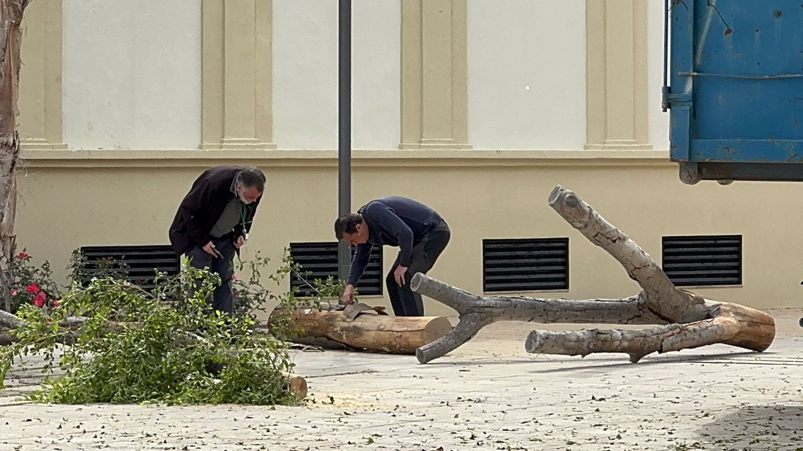 Han recogido muestras para analizar