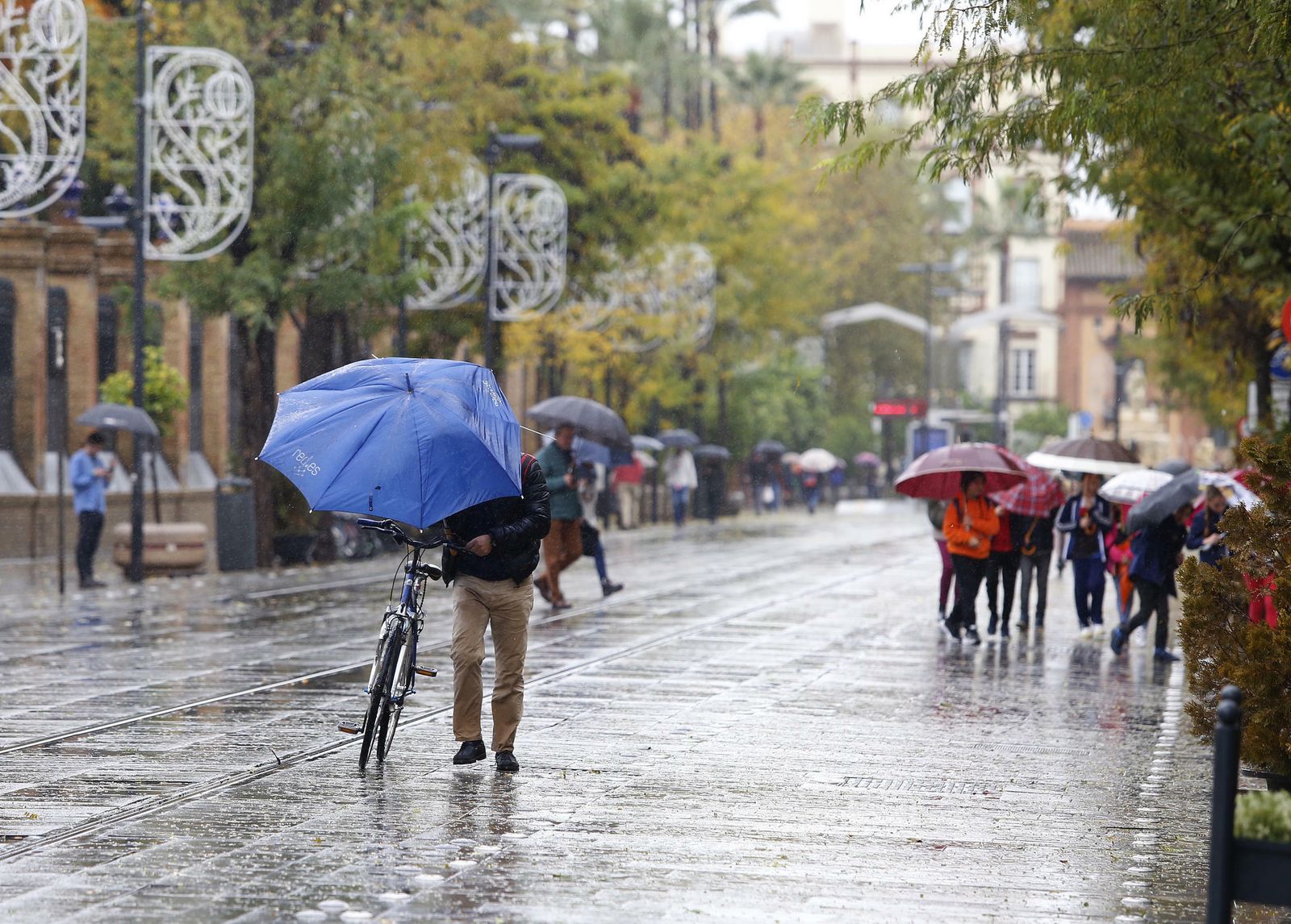 Las imágenes del temporal en Sevilla