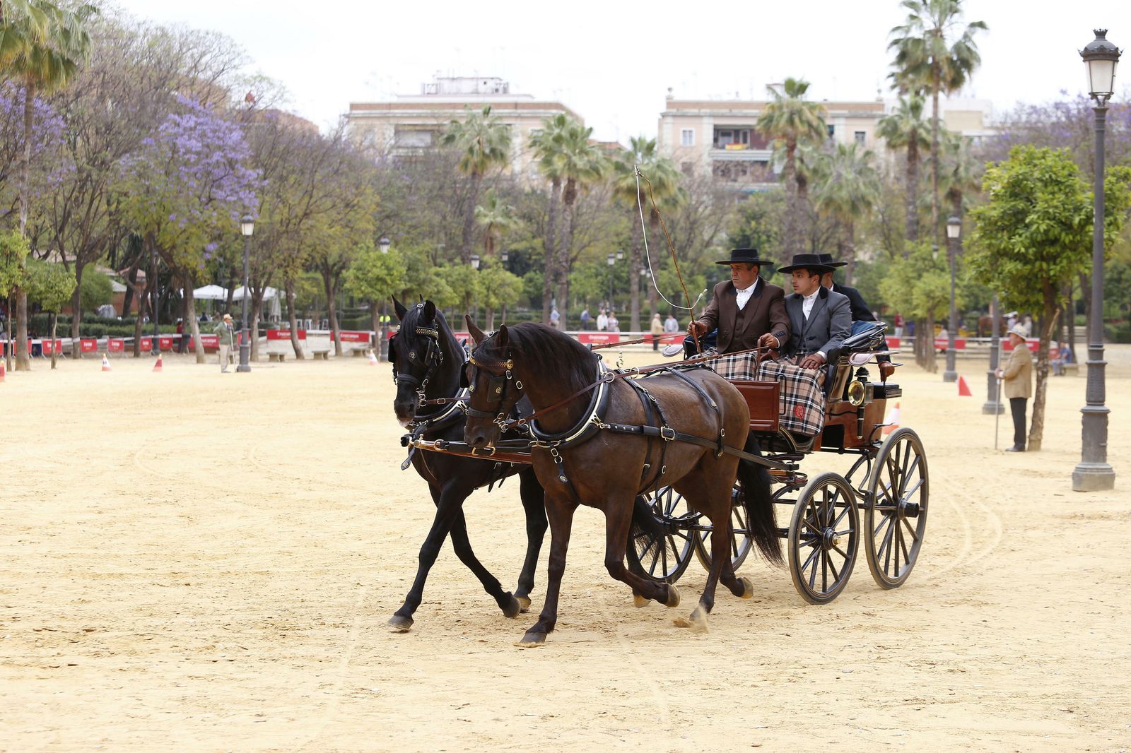 El concurso de enganches, en imágenes