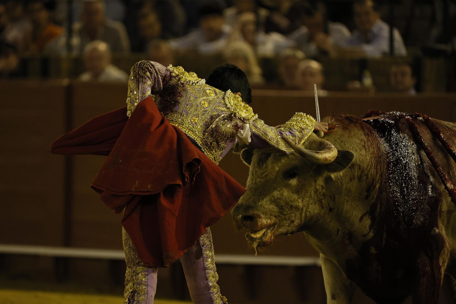 Las imágenes de la Novillada