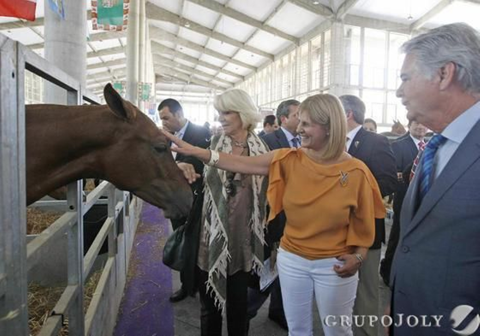 Las alcaldesas populares de Jerez y Cádiz, María José Pelayo y Teófila Martínez, acarician uno de los ejemplares expuestos en Equisur, ayer tras su inauguración.

Foto: Juan Carlos Toro