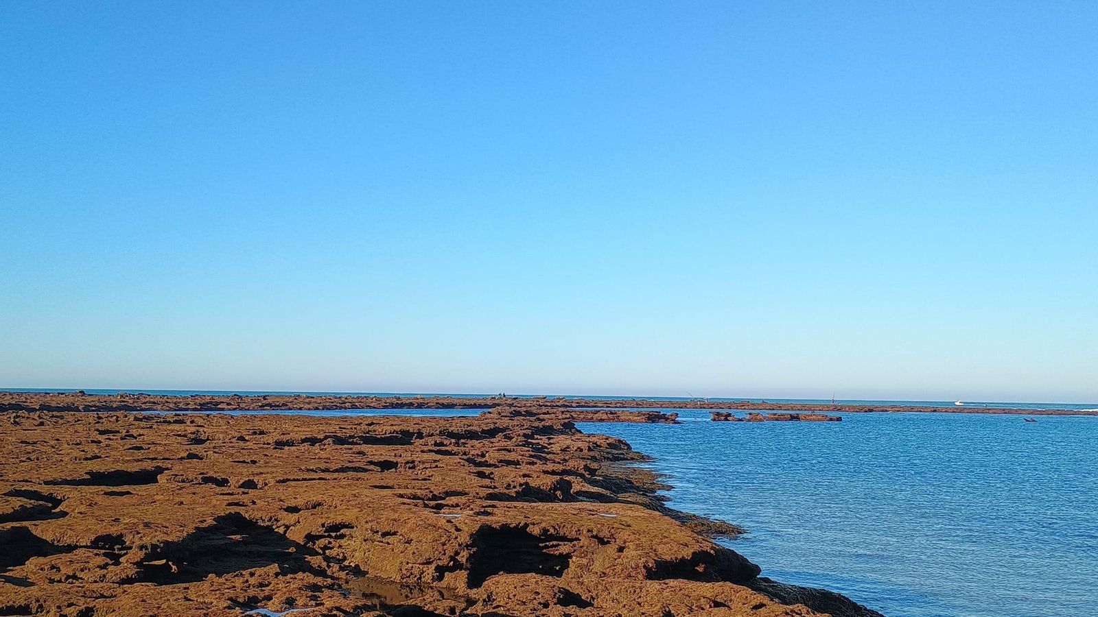 Las impresionantes imágenes de las mareas vivas en la Caleta de Cádiz