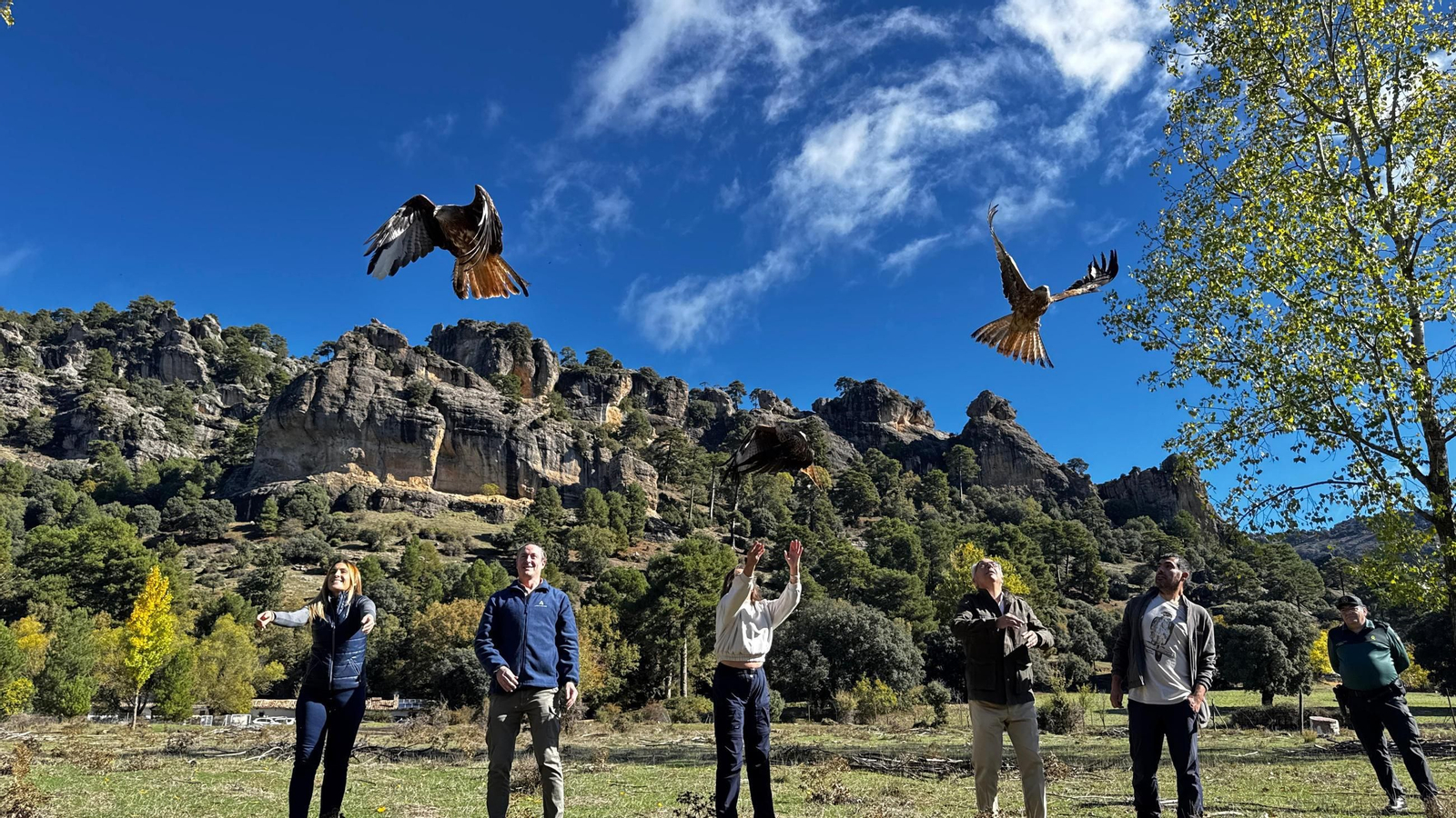 Suelta de milano real en Cazorla