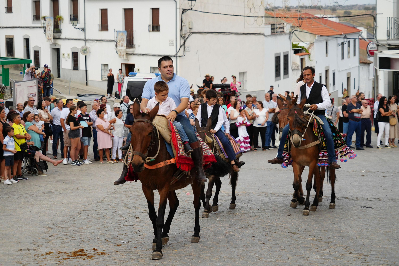 Las mejores imágenes de la Fiesta de los Piostros de Pedroche, la mayor concentración equina de Andalucía