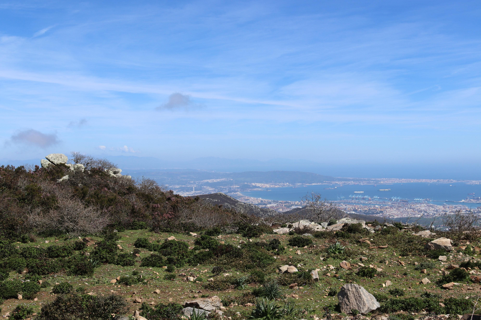 Fotos de la flora y fauna del Parque Natural de Los Alcornocales